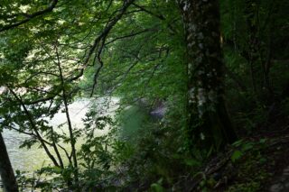 【音楽再生ソフトの決定版】JRiver Media Center Ver35導入・設定方法